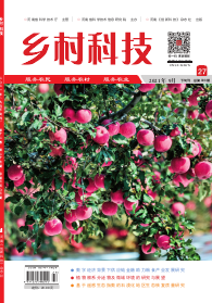 期刊
