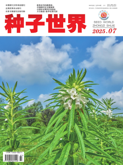 期刊