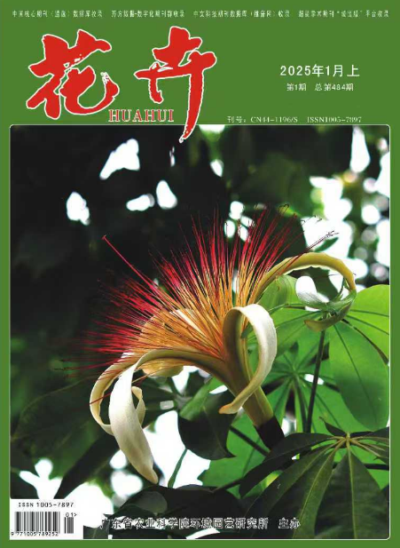 期刊