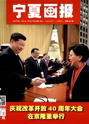 期刊