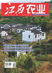 期刊
