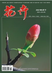 期刊
