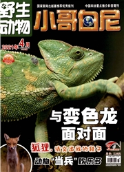 期刊