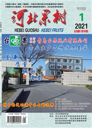 期刊