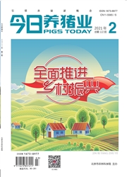 期刊