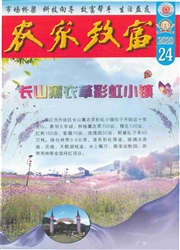期刊