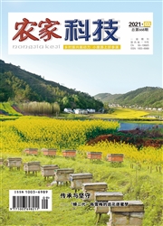 期刊