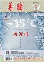 期刊