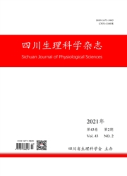 期刊