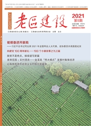 期刊