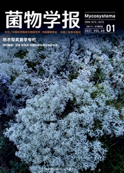 期刊