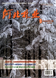 期刊