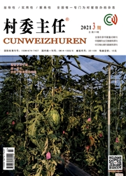 期刊