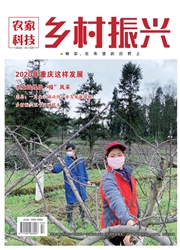 期刊